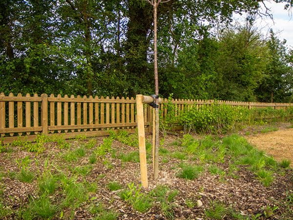 Communal garden fencing